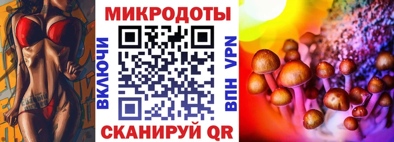 Купить где  Дегтярск  Галлюциногенные грибы мицелий 